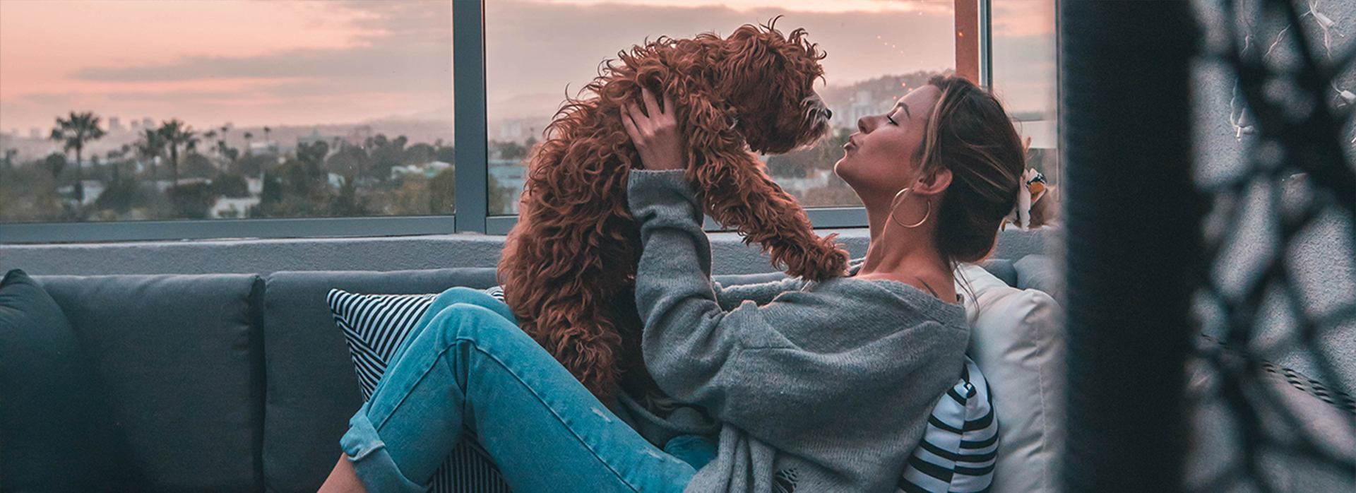 Pet