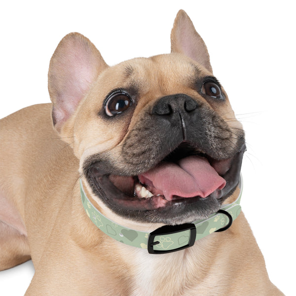 🐾 Earthy Dog Collar – Soft and Stylish for Your Pet! 🌿