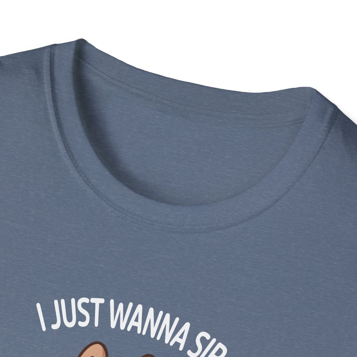 I Just Wanna Sip Coffee And Pet My Cat Funny Unisex Softstyle T-Shirt